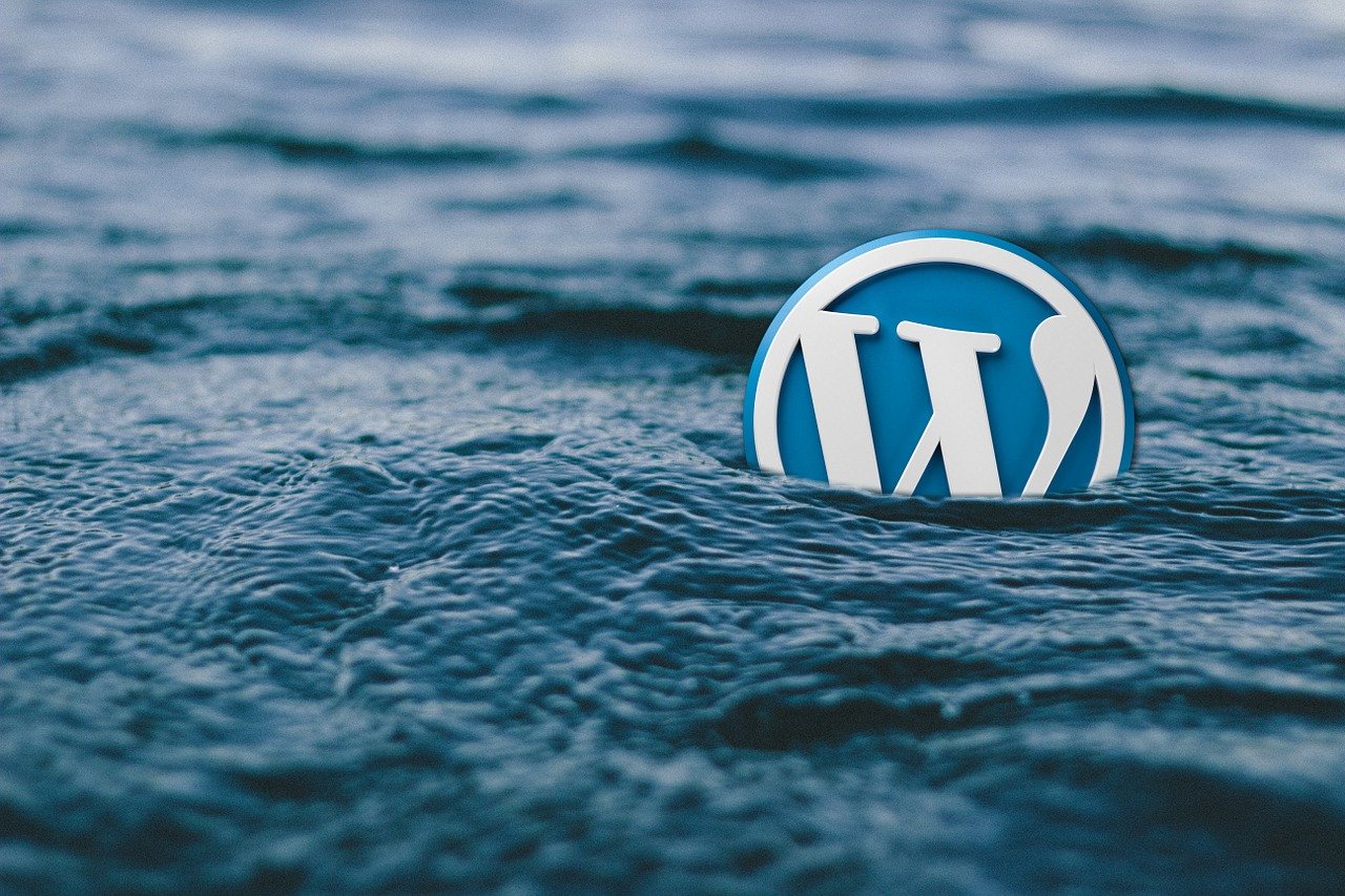 Wordpress C Mo Detectar Eliminar Y Evitar Puertas Traseras La Mina